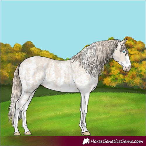 Horse Color:Smoky Creme Sabino and Smoky Creme Sabino