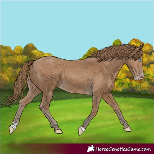 Horse Color:Gray Smoky Creme 