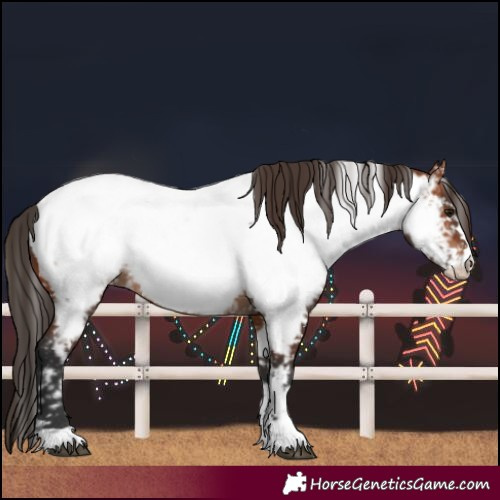 Horse Color:Bay Near Fewspot