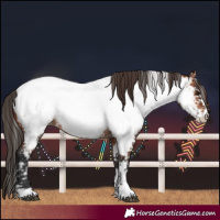 Horse Color:Bay Near Fewspot 