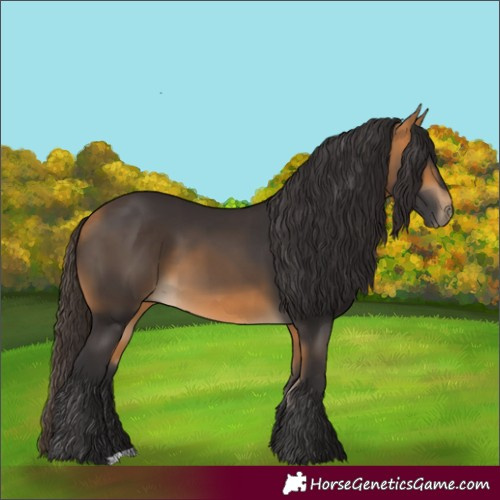 Horse Color:Buckskin 