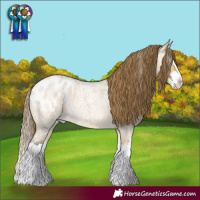 Horse Color:Buckskin Roan Dun Splash Blanket