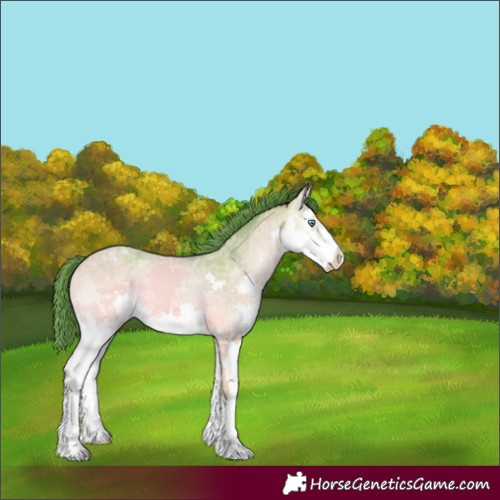 Horse Color:Watercolor Sable Cream Champagne Ice Onyx Splash