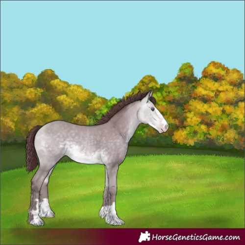 Horse Color:Chocolate Sable Cream Champagne Chinchilla 