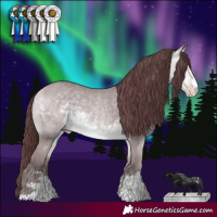 Horse Color:Chocolate Sable Cream Champagne Chinchilla 