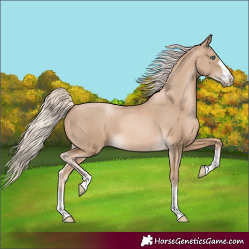 Horse Color:Chocolate Palomino Pearl