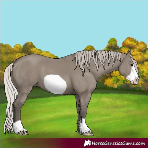 Horse Color:Silver Grullo Frame