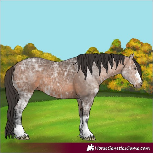 Horse Color:Bay Ice 