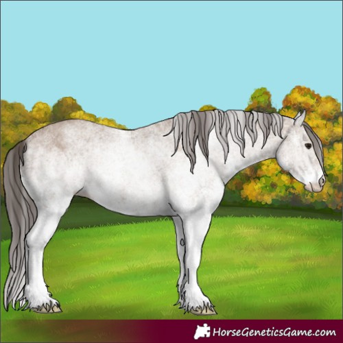 Horse Color:White Spotted Classic Champagne 