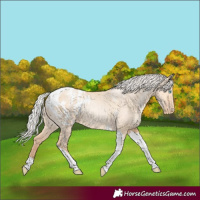 Horse Color:Silver Amber Champagne Pearl Dun Tobiano Blanket Rabicano  and Silver Amber Champagne Pearl Dun Tobiano Blanket Rabicano 