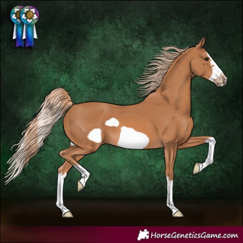 Horse Color:Chestnut Splash Frame