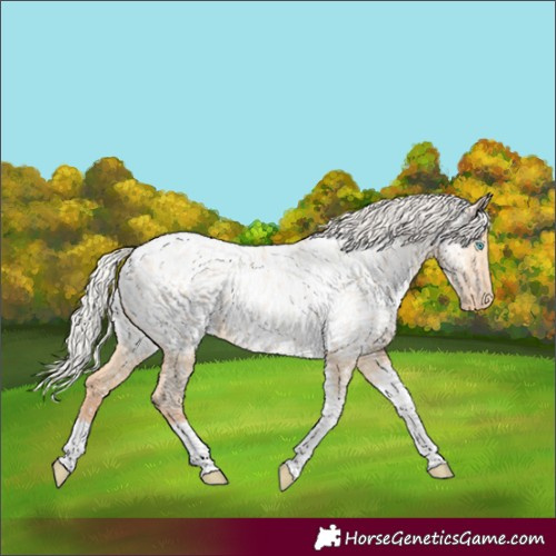 Horse Color:Silver Amber Champagne Pearl Dun Tobiano Near Leopard Rabicano  and Silver Amber Champagne Pearl Dun Tobiano Near Leopard Rabicano 