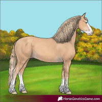 Horse Color:Gold Champagne Splash 