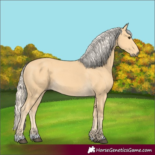 Horse Color:Palomino 