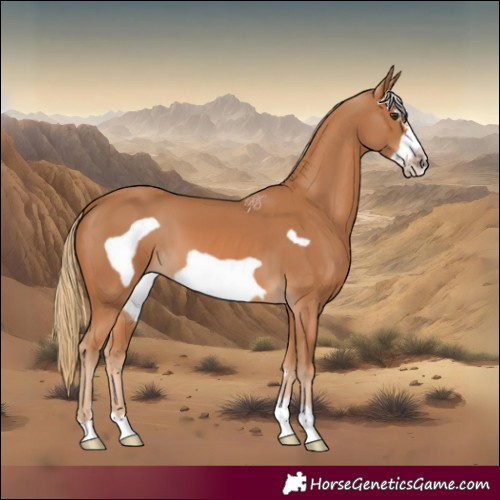 Horse Color:Chestnut Frame