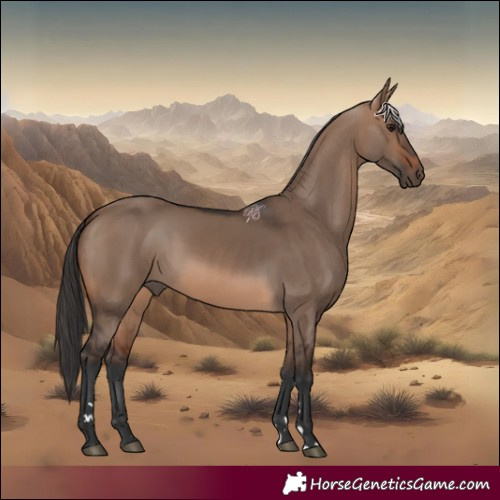 Horse Color:Brown Dun 