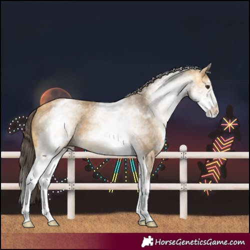 Horse Color:White Spotted Buckskin Dun