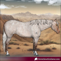 Horse Color:Silver Bay Roan Dun Mushroom Snowflake Varnish Rabicano