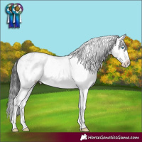 Horse Color:Brown Sabino Splash Snowflake Varnish