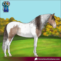 Horse Color:Sable Champagne Tobiano Varnish Rabicano 