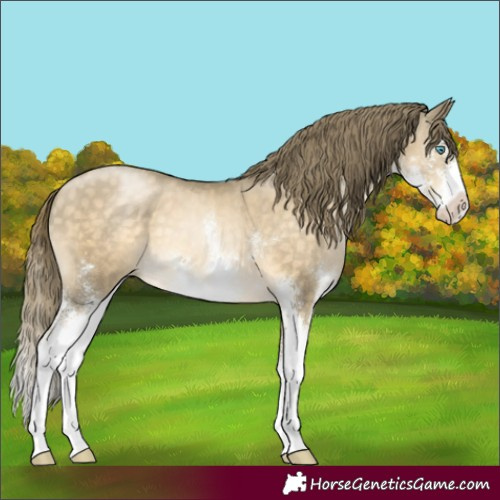 Horse Color:Buckskin Pearl Mushroom Sabino