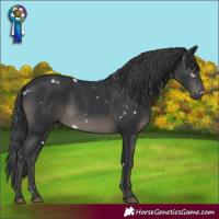 Horse Color:White Spotted Black Mushroom