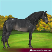 Horse Color:White Spotted Black Mushroom