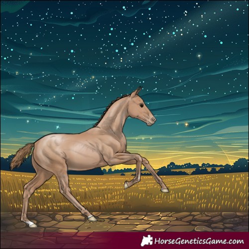 Horse Color:Black Pearl 