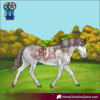 Horse Color:Powder White White Spotted Chocolate Brown Splash and Powder White White Spotted Chocolate Bay Splash