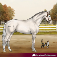 Horse Color:Silver Amber Cream Champagne Pearl 