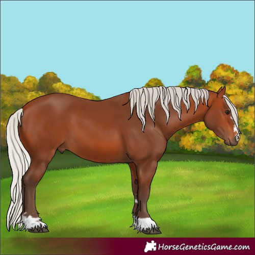 Horse Color:Silver Bay