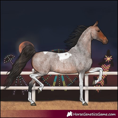 Horse Color:Bay Roan Tobiano Rabicano 