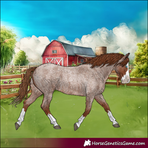Horse Color:Red Roan Splash Varnish 