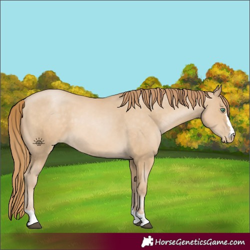 Horse Color:Smoky Black