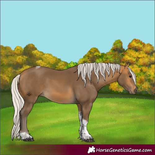 Horse Color:Silver Buckskin Tobiano 