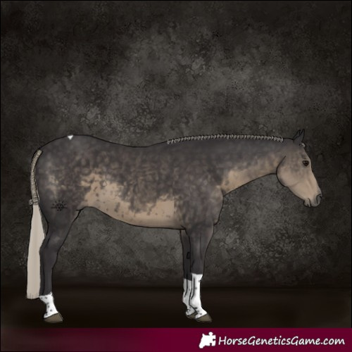 Horse Color:Silver Smoky Black Tobiano