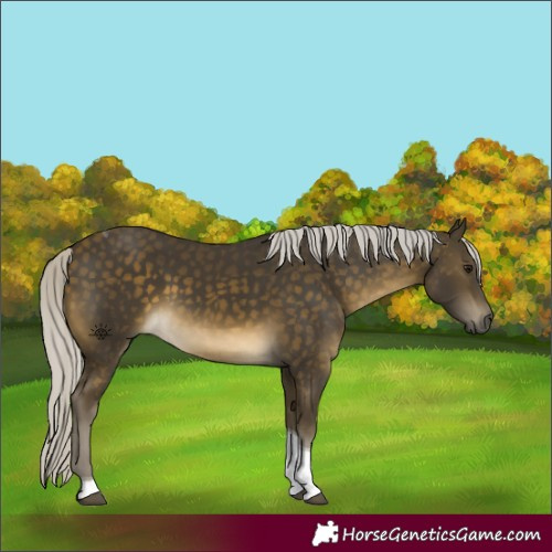 Horse Color:Silver Buckskin Tobiano