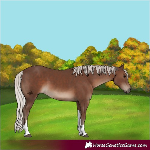 Horse Color:Silver Black Tobiano