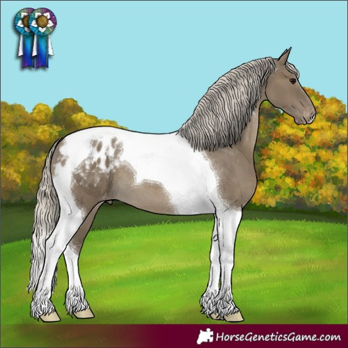 Horse Color:Silver Smoky Grullo Tobiano Appaloosa 