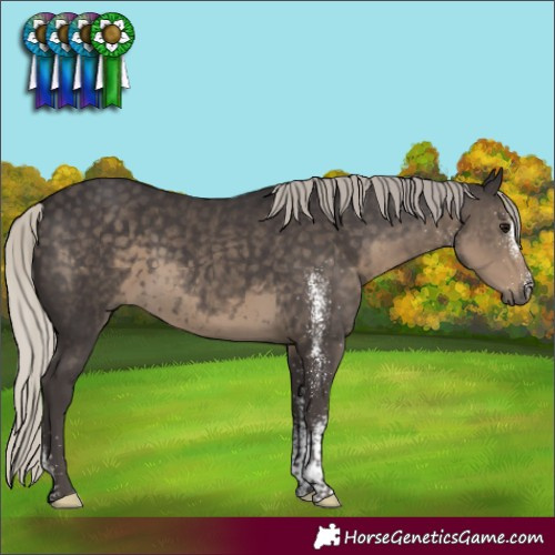 Horse Color:White Spotted Silver Smoky Black