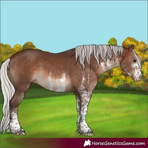 Horse Color:White Spotted Silver Brown 