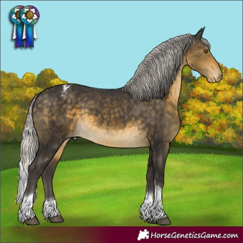 Horse Color:Silver Buckskin Tobiano Appaloosa 