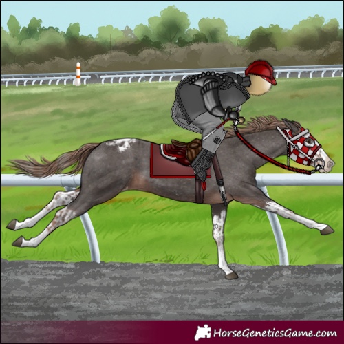 Horse Color:Liver Chestnut Sabino Splash Appaloosa  and Liver Chestnut Sabino Splash Appaloosa 