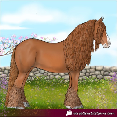 Horse Color:Chestnut Splash 