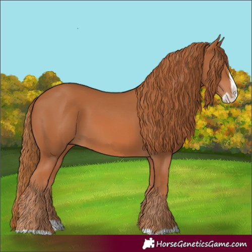 Horse Color:Chestnut Splash 