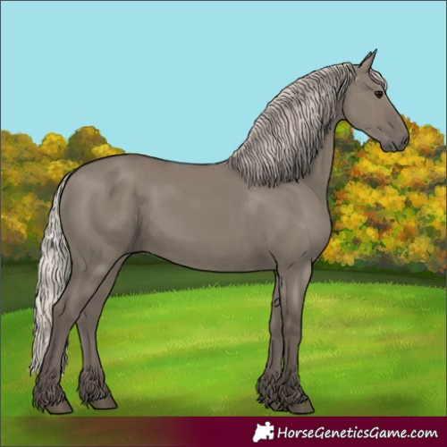 Horse Color:Silver Grullo