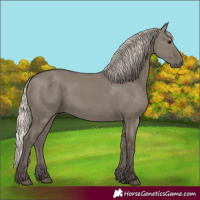 Horse Color:Silver Grullo 