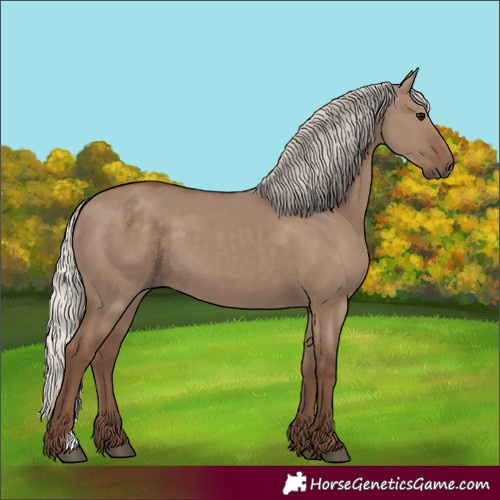 Horse Color:Silver Grullo