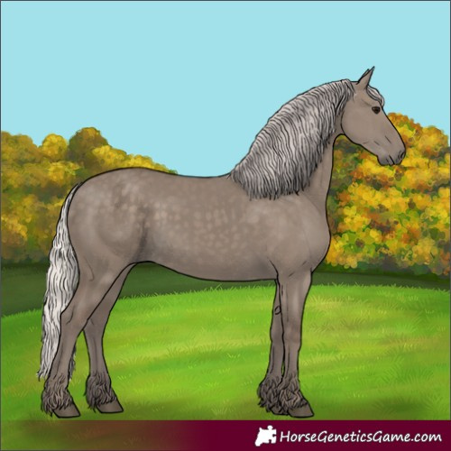 Horse Color:Silver Grullo 