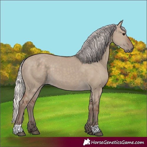 Horse Color:Silver Grullo